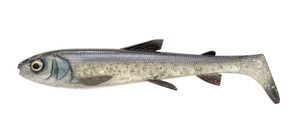 1618615 - SAVAGE GEAR GUMA 3D WHITEFISH SHAD 27,0cm - WHITEFISH