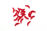 SZTUCZNY ROBAK MAGGOTS - RED - WESTLINE 