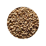 NUMBER 1 GENLOG - KONOPIA SUROWA ZIARNO 0,5kg