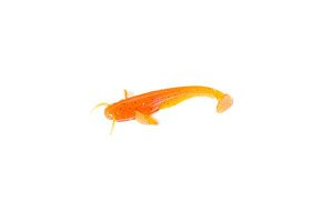 10025120 - FISHUP GUMA CATFISH 049-3"/75mm/8szt