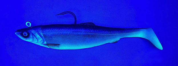 GUMA SAVAGE GEAR 4D HERRING BIG SHAD 25cm/300g - COALFISH