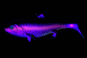 GUMA WOBBLE REPLICANT - UV ORIGINAL RAINBOW TROUT - FOX RAGE