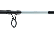 WĘDKA DAIWA SEAHUNTER X SURF 390/100-250g