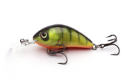 WOBLER SALMO HORNET SINKING 5cm- HOT PERCH
