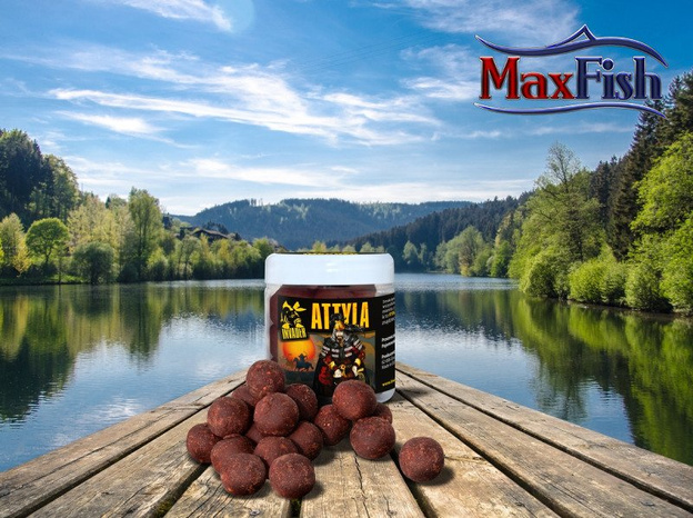 KULKI HACZYKOWE INVADER ATTYLA 250ml