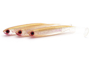GUMA SUXXES TINY SHAD - NATURAL GOLDEN BODY