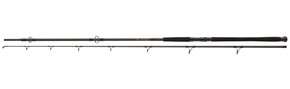 11818-276 - DAIWA WĘDKA EXCELER CATFISH BOJE 270/200-600g