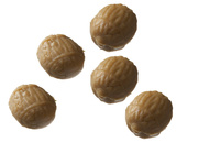 PRZYNĘTA ZAPACHOWA CORMORAN TIGER NUTS TONĄCY