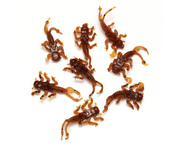 SZTUCZNA PRZYNĘTA LARWA - YORK