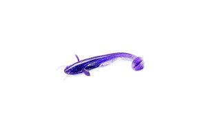 10025132 - FISHUP GUMA CATFISH 060-3"/75mm/8szt
