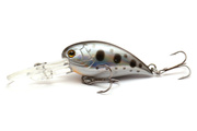 WOBLER CORMORAN COR F12 - DOTTED ROACH 4,0cm