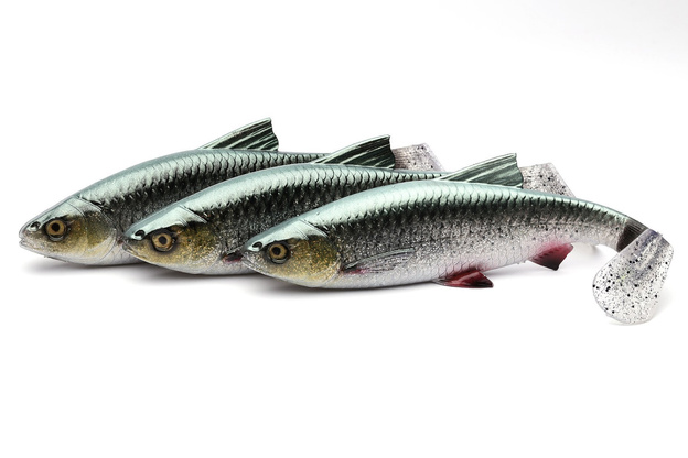 GUMA SAVAGE GEAR 4D RIVER ROACH - GREEN SILVER UV