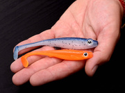 GUMA SPRO IRIS POPEYE - UV MINNOW