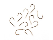 HACZYKI GERMINA TANGO GOLD 10szt