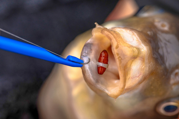 WYPYCHACZ DO HACZYKÓW Z BAIT BANDEREM PRESTON