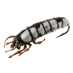 ZESTAW IMITACJI OWADÓW JENZI XL - 4szt