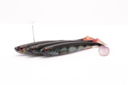 GUMA DAIWA PROREX SLIM SHADY LIVE - REAL PERCH