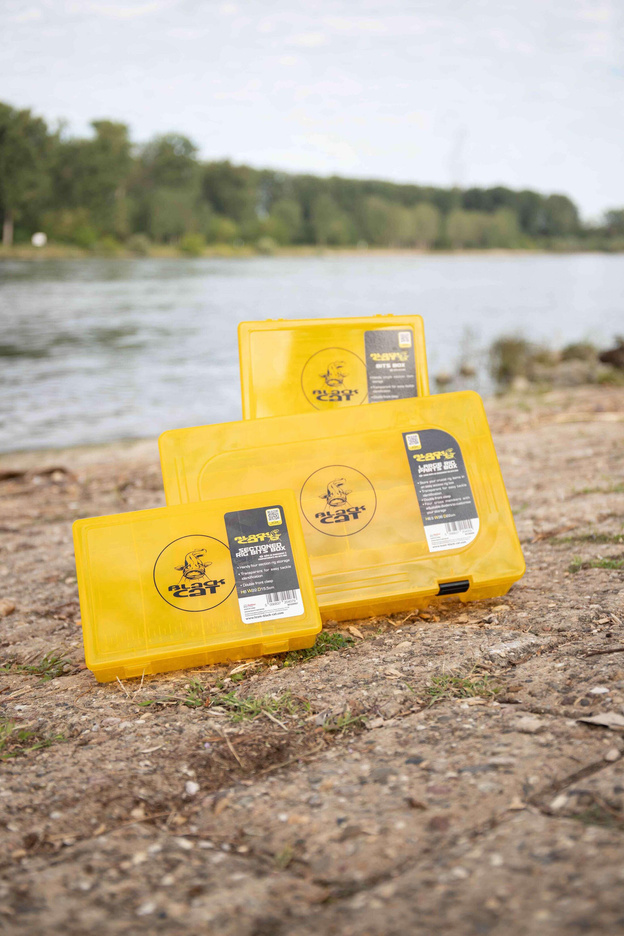 PUDEŁKO BLACK CAT BITS BOX 22x15.5x7.5 cm