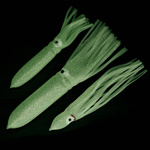 OŚMIORNICE OCTOPUS XL GLOW 22cm/1szt