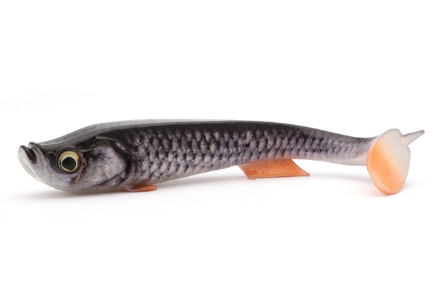 GUMA QUANTUM TARP SHAD 19cm - REAL ROACH