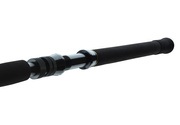 WĘDKA DAIWA BG BIG GAME 168/20-30lbs