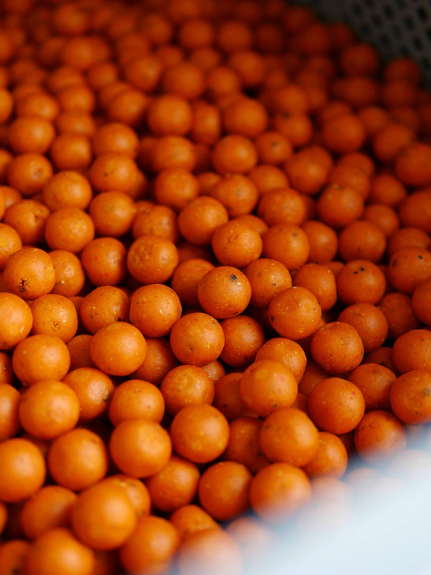 KULKI PROTEINOWE ANACONDA HALLOWEEN BIG BALLS 33mm /1kg