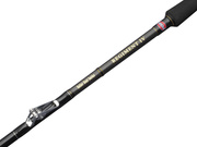 WĘDKA PENN REGIMENT IV ROLLER BOAT 200/30-50lb