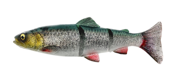 GUMA SAVAGE GEAR 4D LINE THRU TROUT S - GREEN SILVER