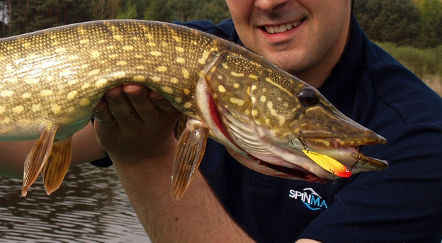 CYKADA SPINMAD KING 12g