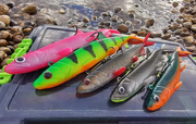 GUMA MADCAT PELAGIC CAT LURE 24cm-SATL N PEPPER