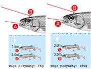 GUMA CORMORAN PLOWMAN SHAD - MOTOROIL