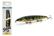 UNIKATOWY WOBLER SALMO WHACKY FLOATING 12cm/14g - HOT PERCH