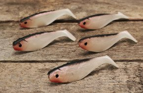 W093-8CM-A181 - SHARK PRZYNĘTA HOKKAIDO 80mm 5szt