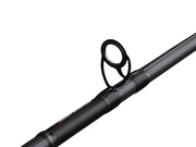 WĘDKA SAVAGE GEAR FURY SG2 BOAT 213/100-250g