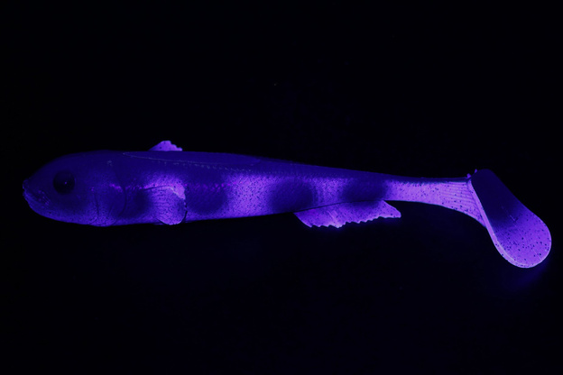 636 - SAVAGE GEAR GUMA 3D GOBY SHAD 1szt - SPOTTED BULLHEAD UV