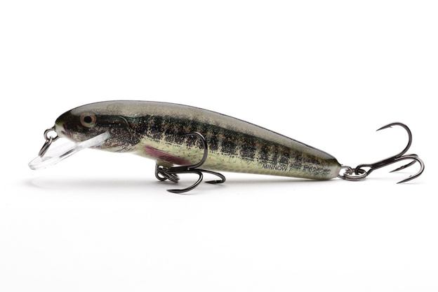 WOBLER SALMO MINNOW F 5cm-HOLO REAL MINNOW