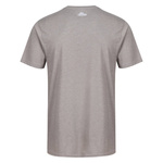 KOSZULKA T-SHIRT BERKLEY GREY