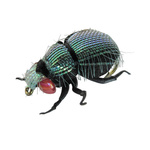 ZESTAW IMITACJI OWADÓW JENZI XL - 4szt