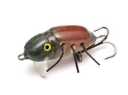 WOBLER HUNTER CHRABĄSZCZ 24mm/BR