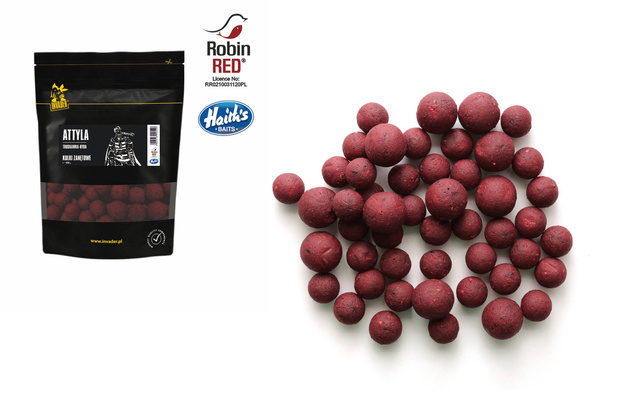 KULKI ZANĘTOWE INVADER ATTYLA 20mm/800g