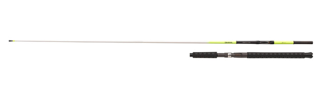 WĘDKA DAIWA SEALINE X TREME ITERLINE 235/15-30lbs