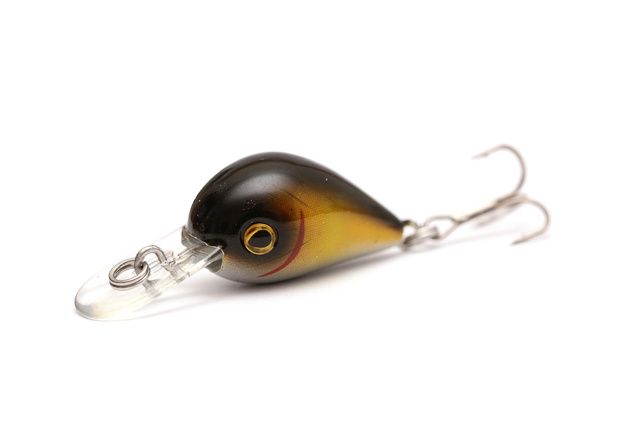 WOBLER CORMORAN COR SLS1 - DARK AYU 2,5cm