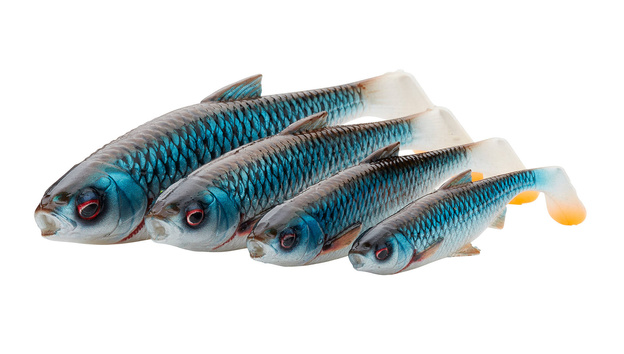 GUMA SAVAGE GEAR 3D RIVER ROACH - SMELT