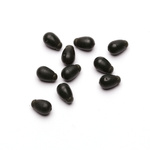 KORALIKI JENZI QUICK CHANGE - S