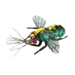 ZESTAW IMITACJI OWADÓW JENZI XL - 4szt