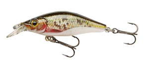 53-82409 - CORMORAN WOBLER SHALLOW BABY SHAD DYING ROACH