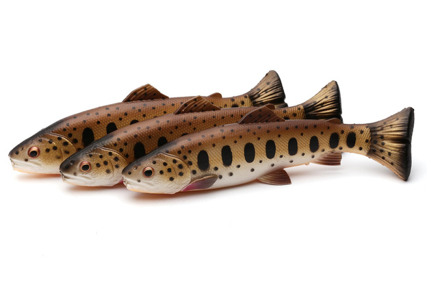 GUMA SAVAGE GEAR 3D CRAFT TROUT PULSETAIL - BROWN TROUT SMOLT