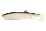 GUMA QUANTUM YOLO PIKE SHAD 22cm/60g - REAL-TOUCH ROACH