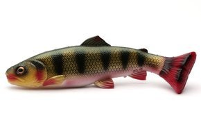 718 - SAVAGE GEAR GUMA 3D CRAFT TROUT PULSETAIL - PERCH