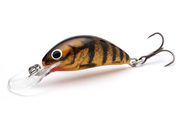 UNIKATOWY WOBLER SALMO  HORNET FLOATING 3,5cm - JAIL BREAK